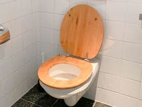 How to Replace a Toilet Seat