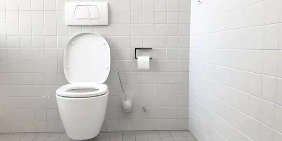 How to Replace a Toilet Seat