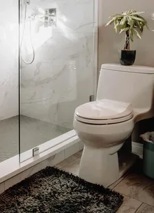 How to Replace a Toilet Seat